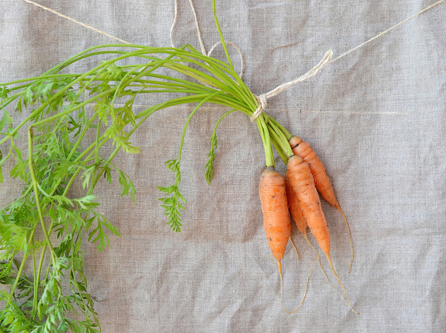Обои картинки фото еда, морковь, овощ