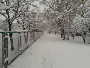 Картинка зима+в+киеве природа дороги дорога снег киев троещина