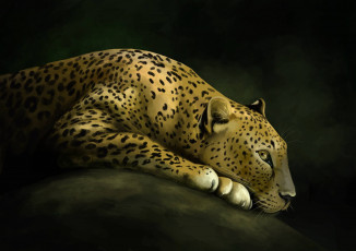 Картинка рисованное животные леопард кошка дикая арт хищник камень