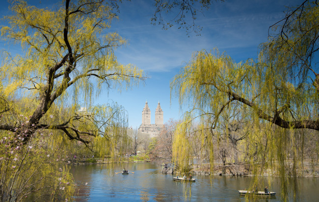 Обои картинки фото города, нью-йорк , сша, лодка, пруд, дома, небо, центральный, парк, нью-йорк, люди, деревья, весна