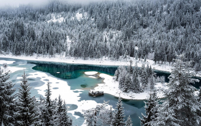Обои картинки фото природа, реки, озера, лес, остров, деревья, снег, зима, панорама, река, лед
