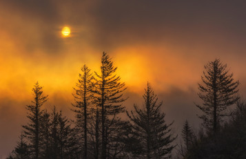 Картинка природа восходы закаты сша орегон облака луна деревья