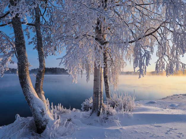 Обои картинки фото природа, зима, finland, lapland, финляндия, лапландия, снег, деревья