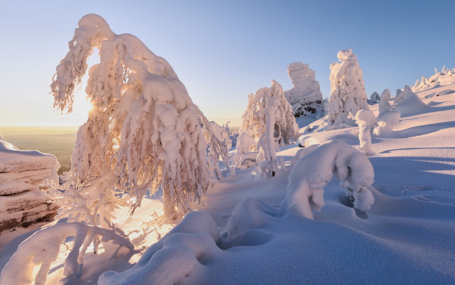 Обои картинки фото природа, зима, снег, сугробы