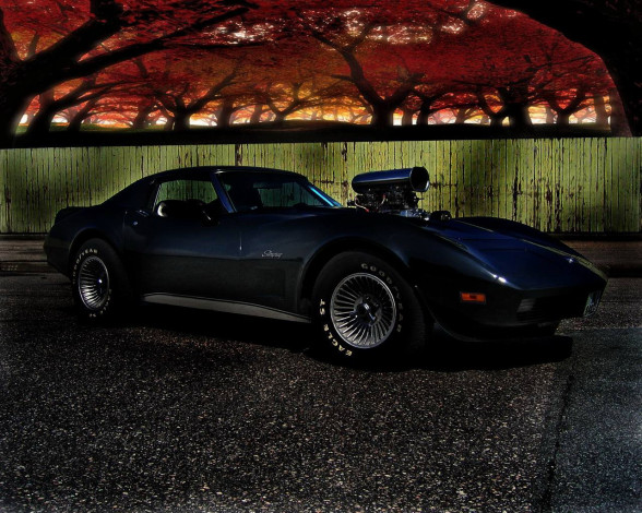 Обои картинки фото chevrolet, corvette, автомобили
