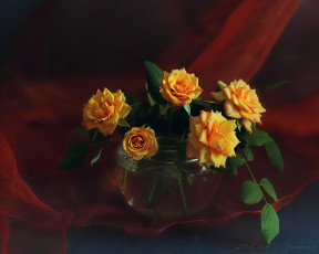 Картинка авт elen цветы розы