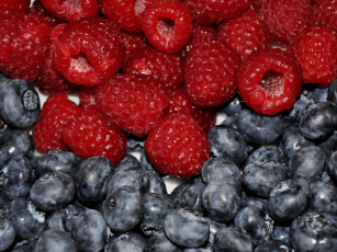 Картинка еда фрукты ягоды