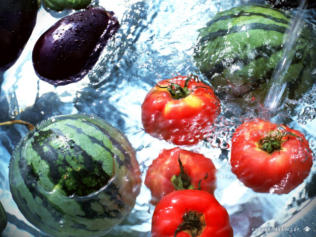 Обои картинки фото еда, фрукты, овощи, вместе, абузы, помидоры, томаты