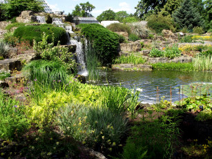 Картинка природа парк водоем водопад цветы кусты