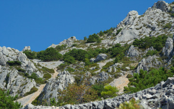 Картинка природа горы камни кусты