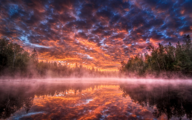 Обои картинки фото природа, восходы, закаты, озеро, лес, туман