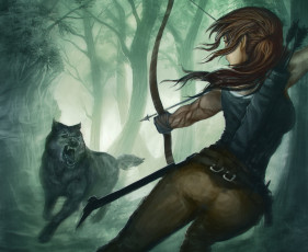 Картинка tomb raider 2013 видео игры lara croft фан-арт волк лес лук