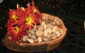 Картинка еда орехи каштаны хризантемы