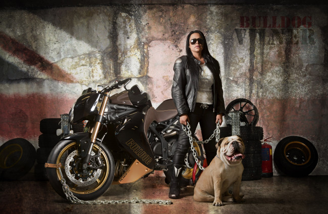 Обои картинки фото мотоциклы, мото, девушкой, triumph