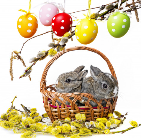 Обои картинки фото праздничные, - пасха, easter, bunny, rabbit, spring, decoration, willow, twig, flowers, eggs, colorful, пасха, кролики, весна, верба, цветы, пасхальный, крашеные, яйца, корзина, ветки
