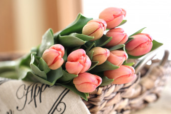 Картинка цветы тюльпаны букет нежность бутоны
