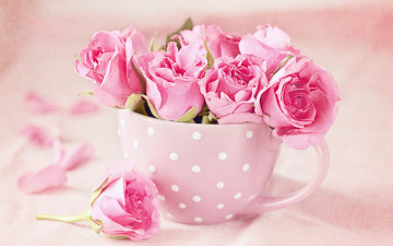 Картинка цветы розы букет cup pink roses чашка