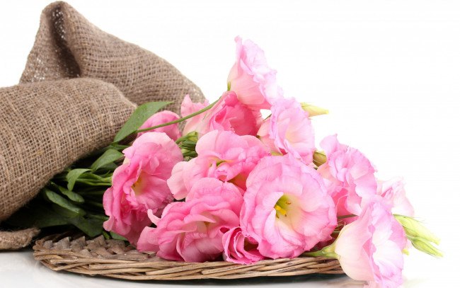 Обои картинки фото цветы, розы, розовые, fresh, pink, bouquet, flowers