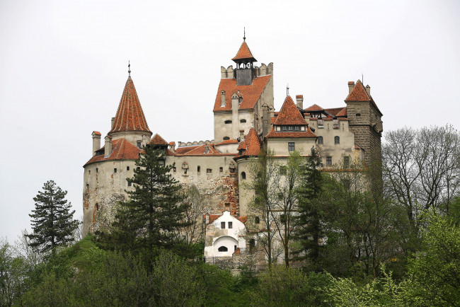 Обои картинки фото bran castle румыния, города, - дворцы,  замки,  крепости, деревья, castle, bran, замок, румыния