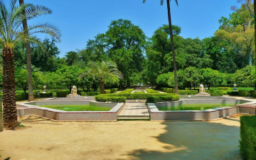 Картинка природа парк пальмы аллеи фонтаны