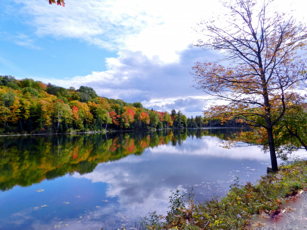 Обои картинки фото природа, реки, озера, деревья, отражение, вода, река, осень