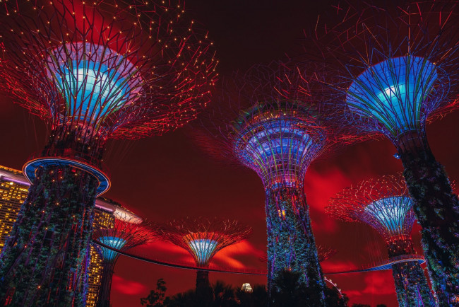 Обои картинки фото города, сингапур , сингапур, фантастическая, архитектура, ночного