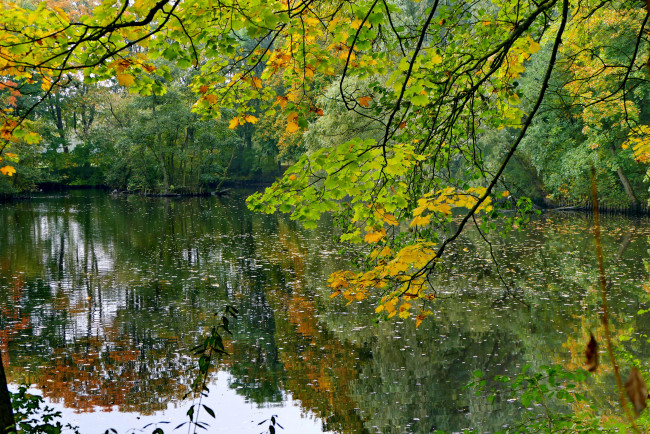 Обои картинки фото природа, реки, озера, осень, водоём, деревья, лес