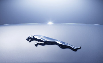 Картинка бренды авто-мото +jaguar зверь знак логотип