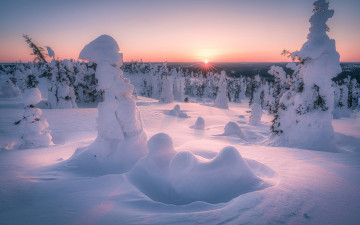 Картинка природа зима лес елки сугробы снег закат