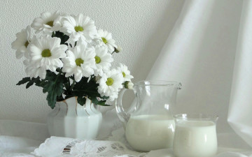 Картинка еда напитки кувшин молоко хризантемы