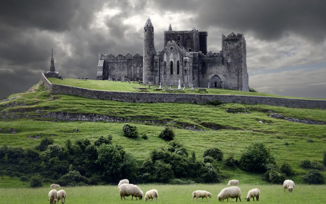 Обои картинки фото ireland, города, дворцы, замки, крепости, ирландия, холм, овцы, тучи, замок