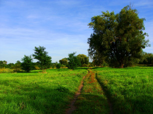 Картинка пейзаж природа дороги поле дорога деревья