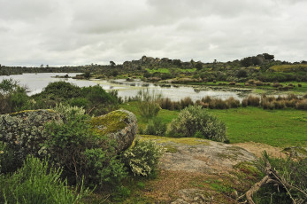 Картинка пейзаж природа реки озера озеро камни поляна горизонт