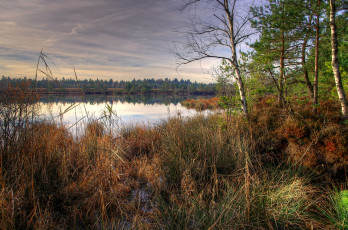Картинка пейзаж природа реки озера озеро трава деревья