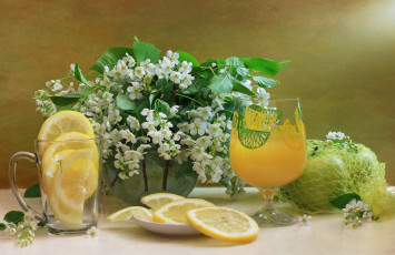 Картинка еда напитки сок черёмуха лимон