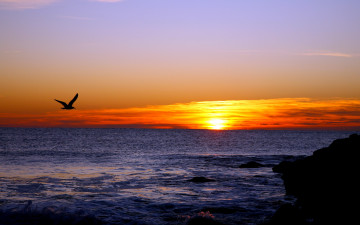 Картинка природа восходы закаты океан вечер солнце облака горизонт закат