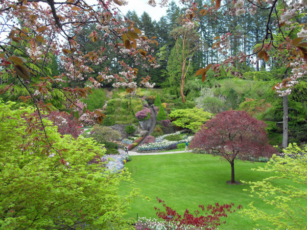 Обои картинки фото butchart, gardens, victoria, канада, природа, парк, растения