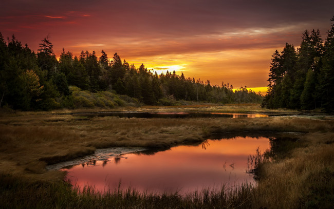Обои картинки фото природа, восходы, закаты, озеро, закат, лес
