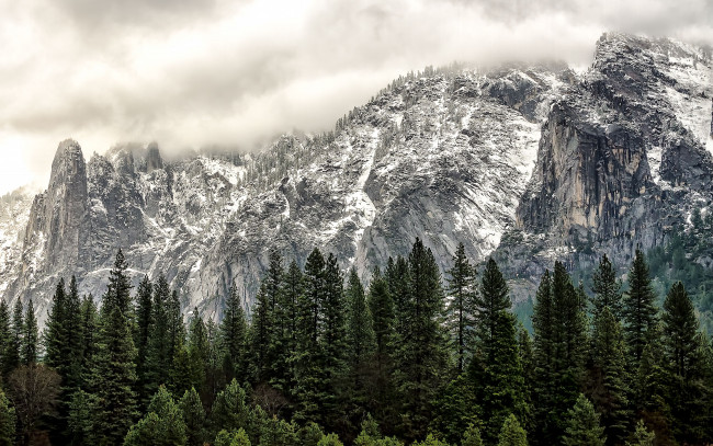 Обои картинки фото yosemite, national, park, california, природа, горы, калифорния, деревья, йосемити