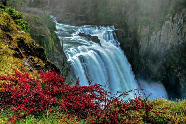Обои картинки фото природа, водопады, поток, цветы