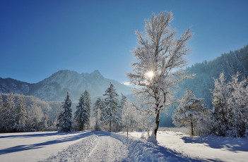 Картинка природа зима дорога деревья снег