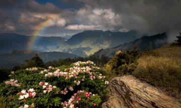 обоя природа, радуга, цветы, горы