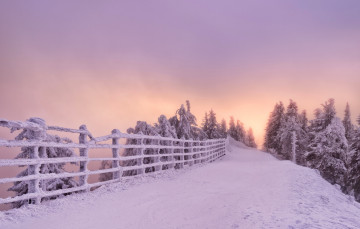 Картинка природа зима забор дорога снег