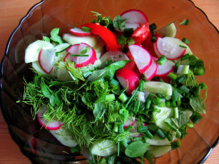 Картинка еда салаты +закуски редиска зелень укроп огурец