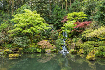 Картинка природа парк Японский сад в портленде сша пейзаж водопад