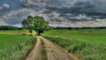 Картинка природа дороги германия дерево поле саксония дорога в масснеи-форест
