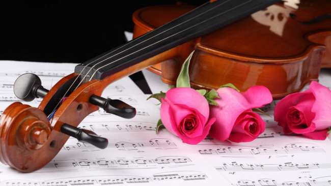 Обои картинки фото музыка, -музыкальные инструменты, скрипка, ноты, розы