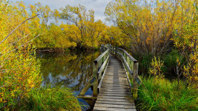 Обои картинки фото природа, реки, озера, деревья, водоём, осень, пейзаж, мост