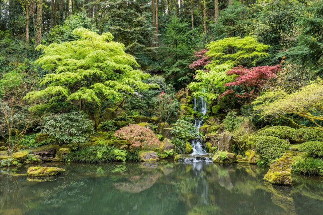Обои картинки фото природа, парк, Японский, сад, в, портленде, сша, пейзаж, водопад