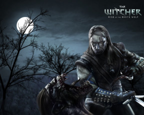 Картинка the witcher rise of white wolf видео игры